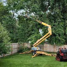 Best Tree Mulching  in Mccla, AL