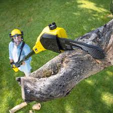 Lawn Watering Services in Mccalla, AL