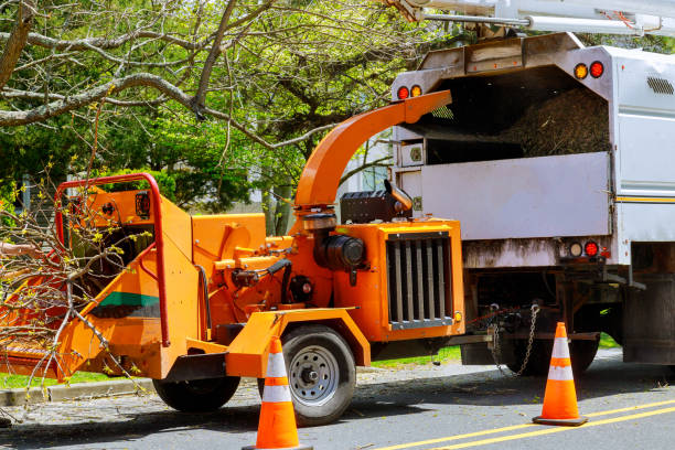 Best Tree and Shrub Care  in Mccla, AL